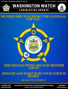 2024 Elections are Just Months Away