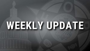 Weekly Update: 28 February 2025