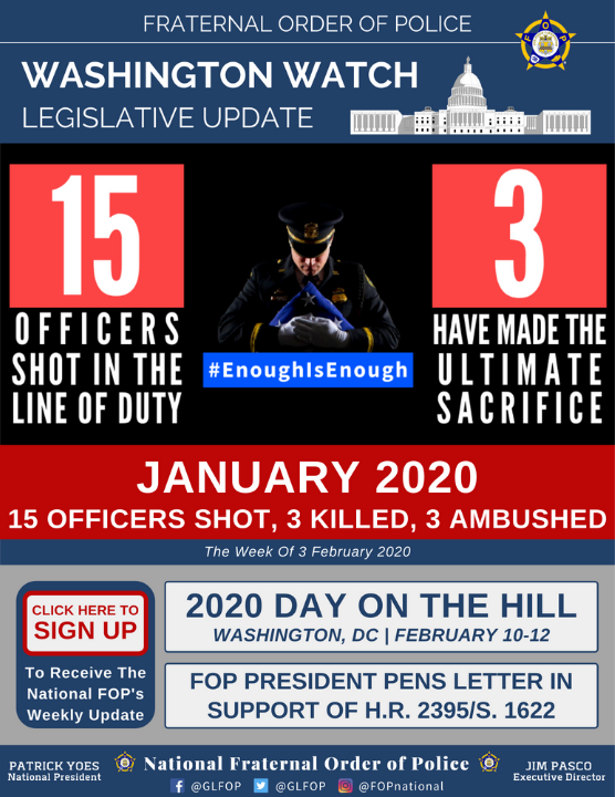 Weekly Update – February 3, 2020